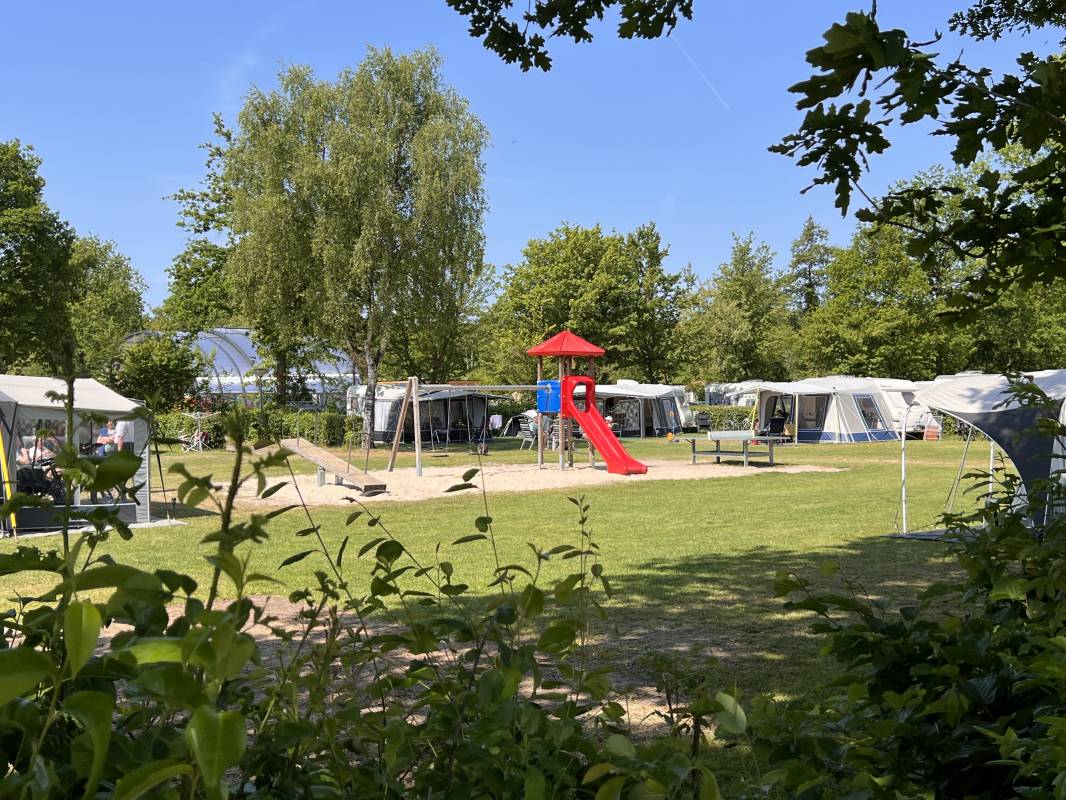 Camping 't Veld ***** — Photo 3