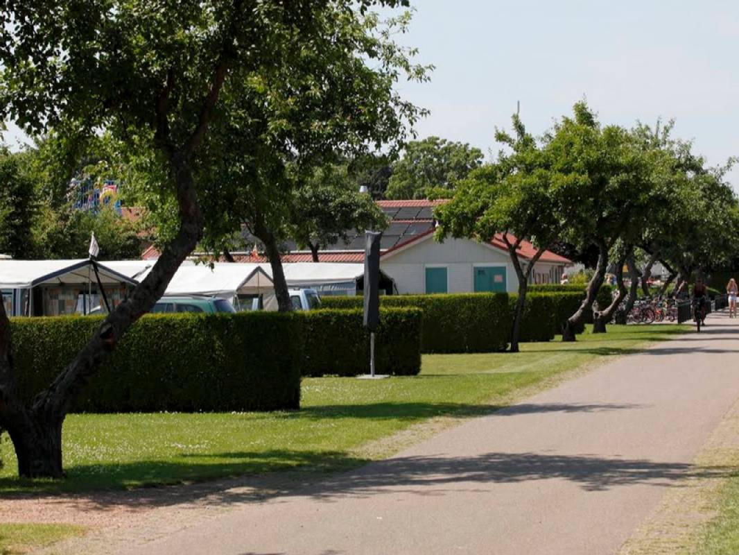 Vakantiepark De Fruithof — Photo 3