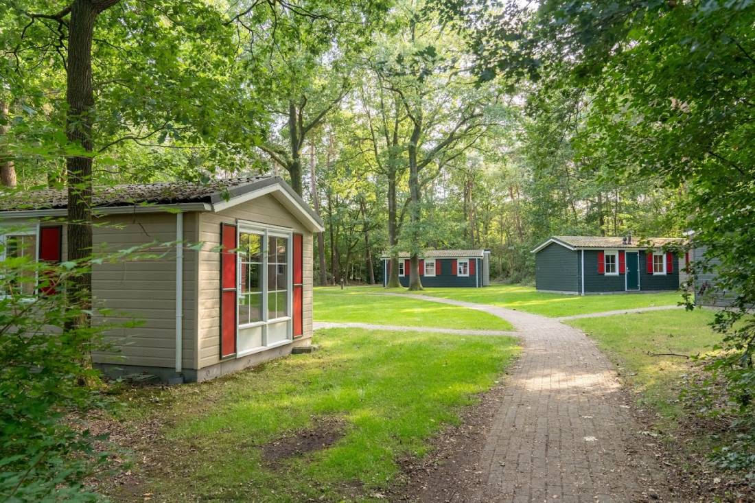 Roompot Bospark Lunsbergen — Photo 4