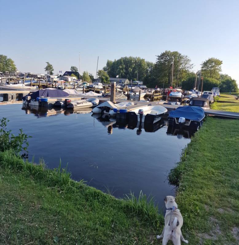 Camping Siblu Meerwijck — Photo 4