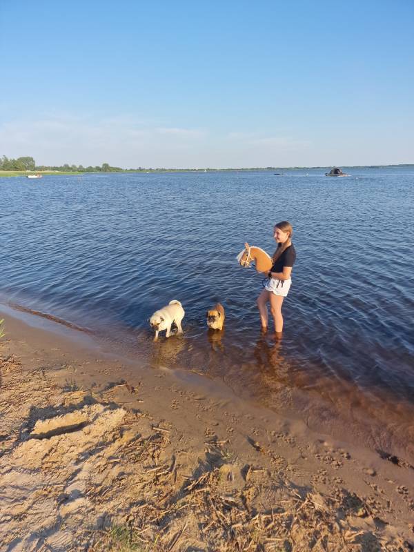 Camping Siblu Meerwijck — Photo 5