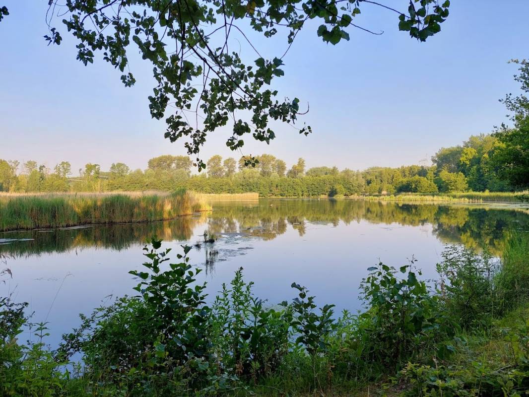 Molecaten Park Flevostrand