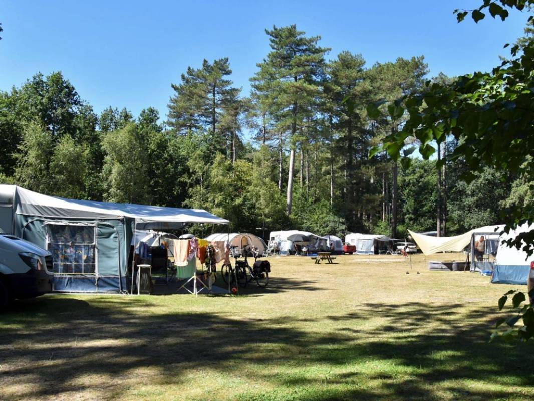 Ommerland Vakantie + Recreatie — Campsite in Ommen