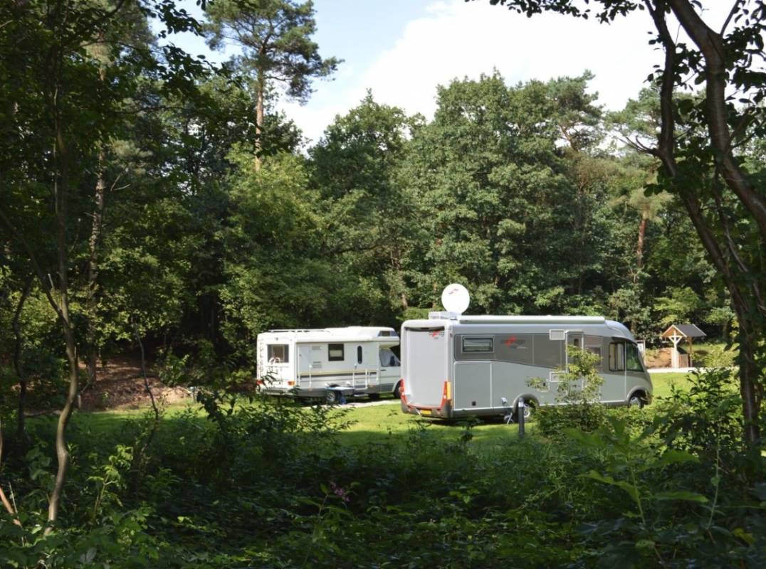 Vakantiepark De Wiltzangh — Photo 4