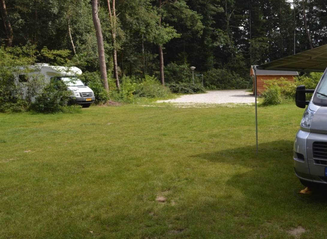 Vakantiepark De Wiltzangh — Photo 3