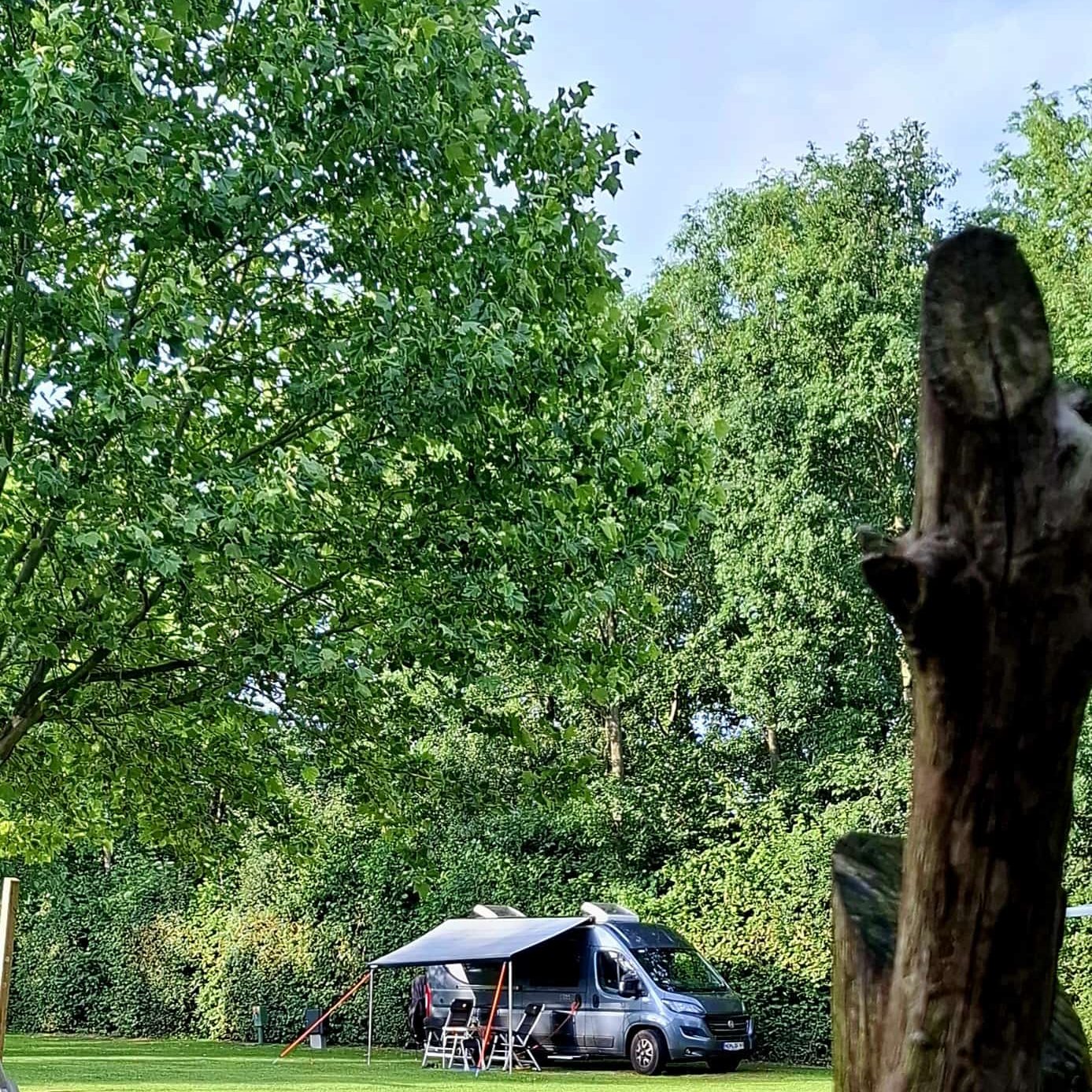 Camping De Watermolen **** — Photo 6