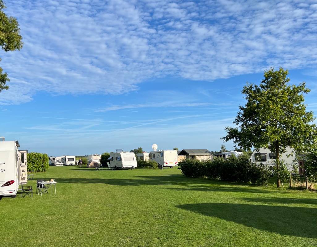 Swichumer Pleats — Photo 3