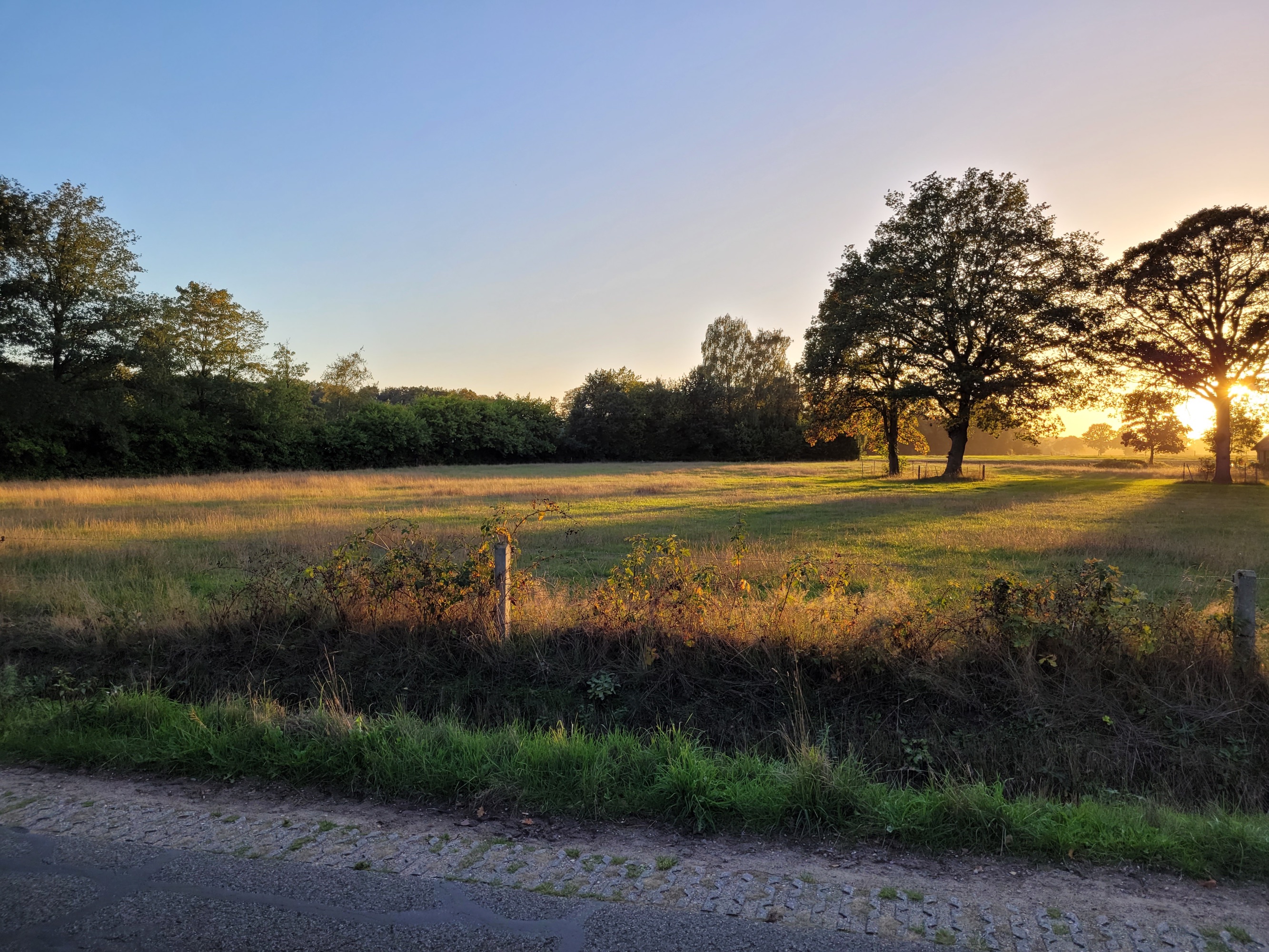 Minicamping de Paardebloem — Photo 6