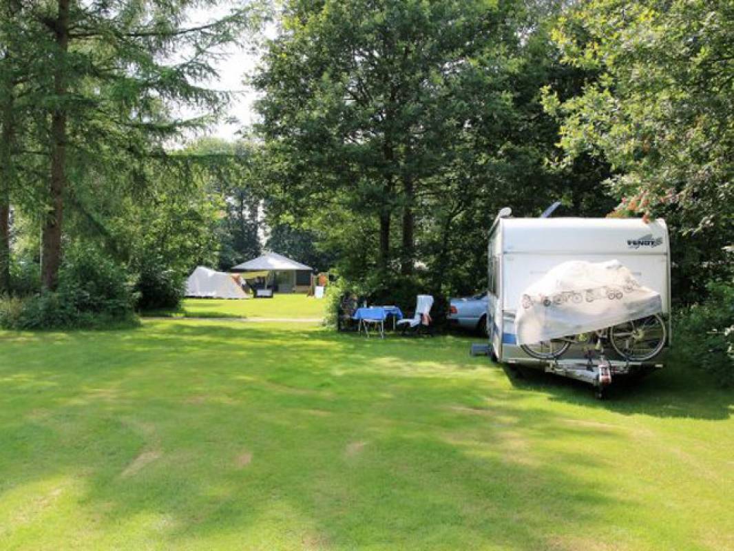Camping De Warme Bossen — Photo 3