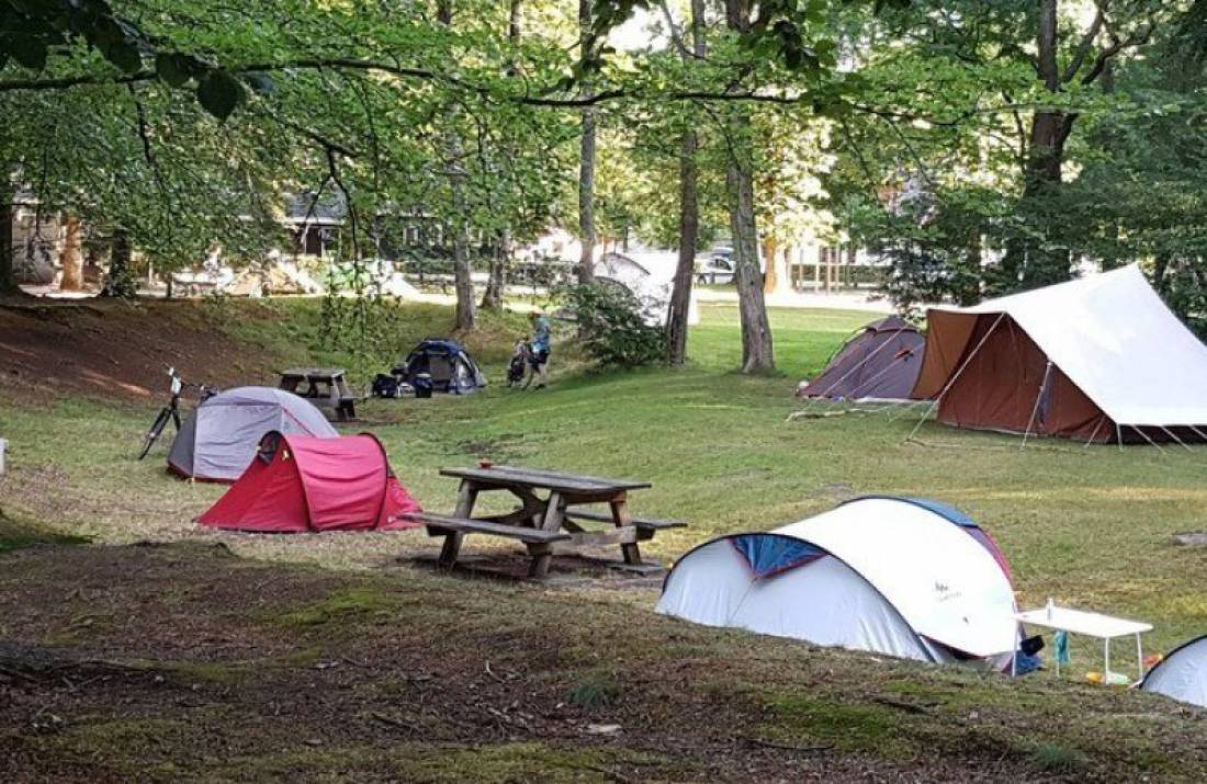 Boscamping Appelscha