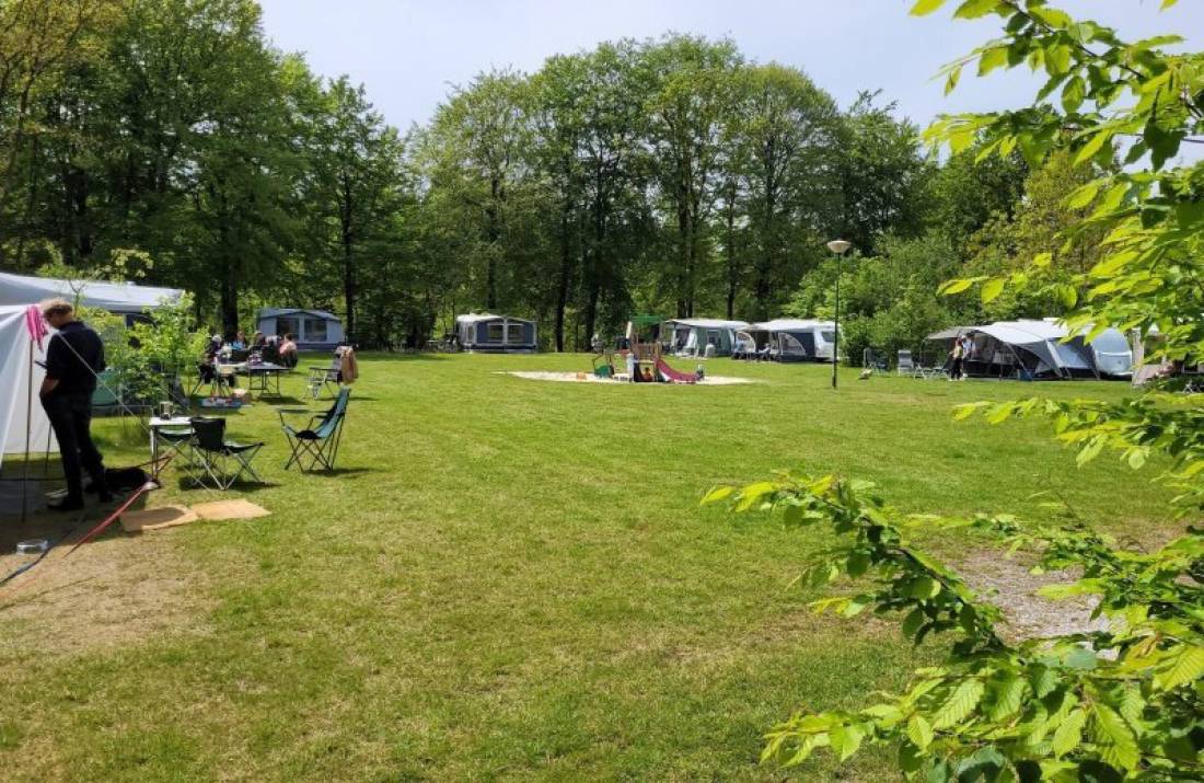 Boscamping Appelscha — Campsite in Appelscha