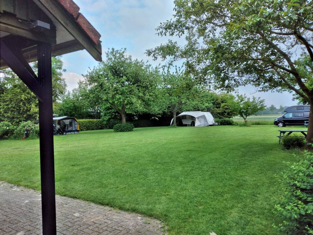 Lentemaheerd — Photo 4