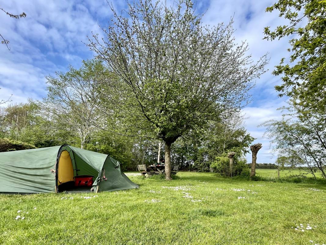Natuurkampeerterrein Laaghalerveld
