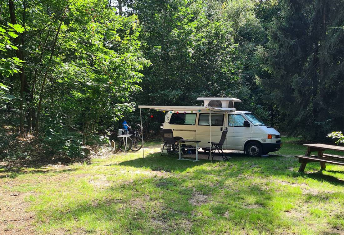 Natuurkampeerterrein Lheederzand — Kemp in Dwingeloo