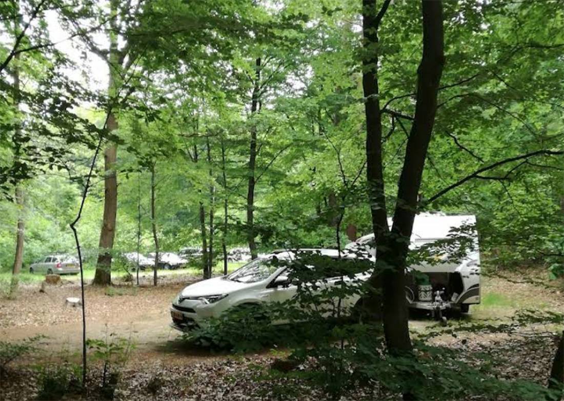 Natuurkampeerterrein Lheederzand — Photo 3