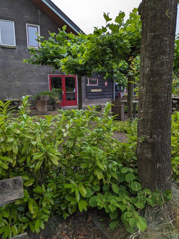 Boerderijcamping Het Amerveld — Photo 2