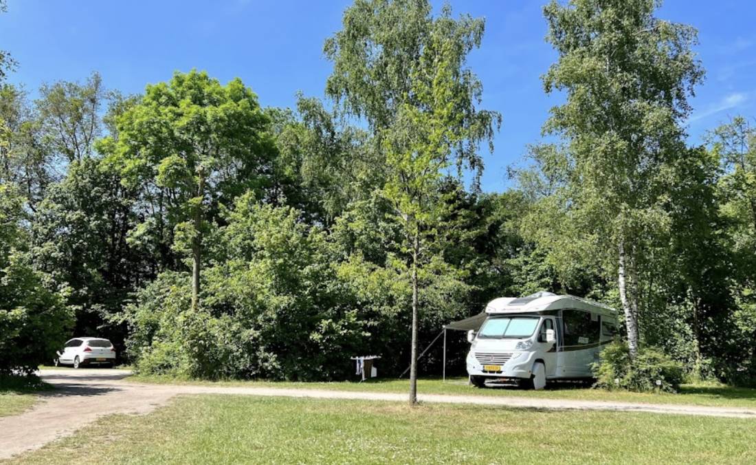 Camping Natuurkampeerterrein 't Scharvelt