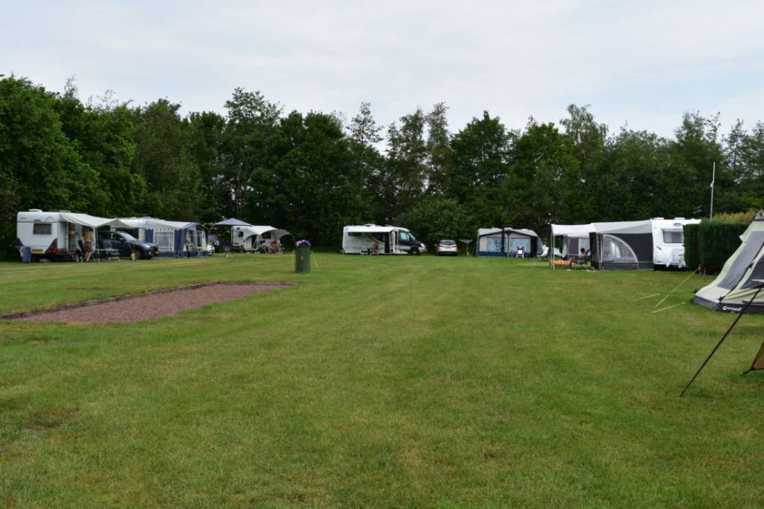 Harmina Hoeve Camping — Campsite in Sellingen