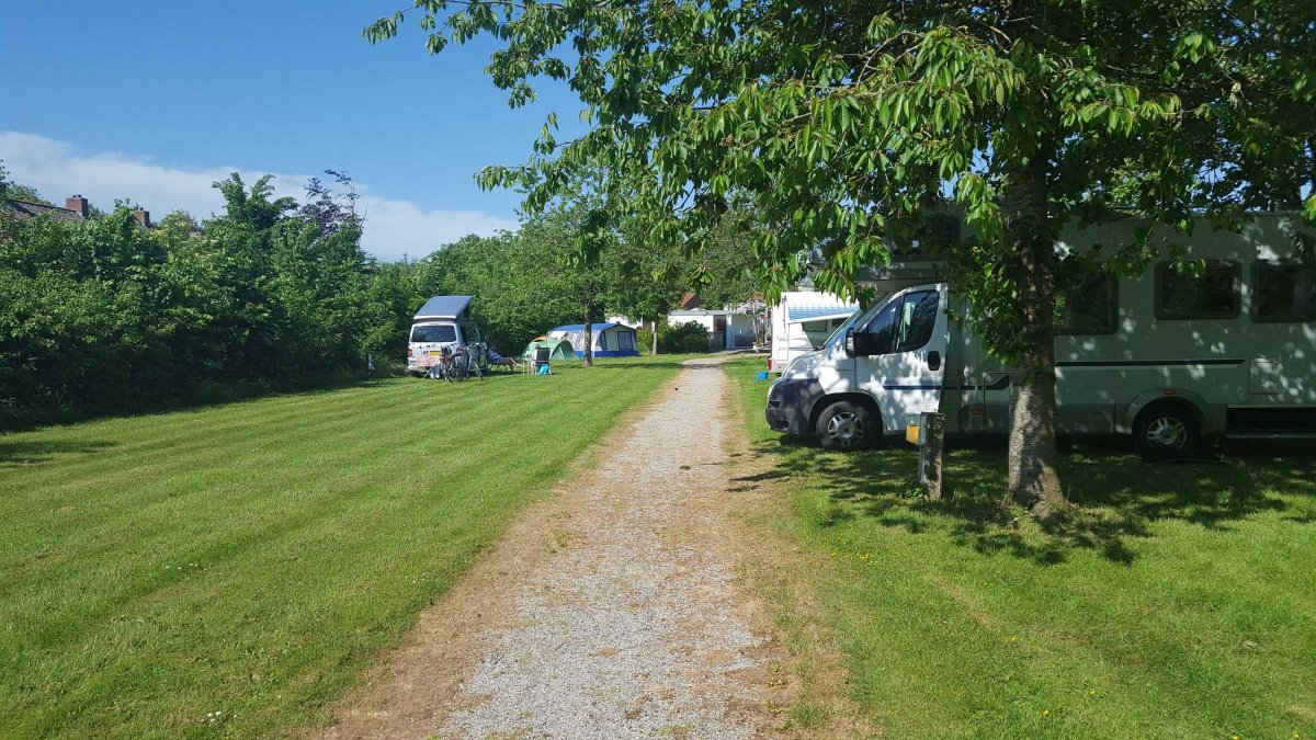 Bungalows en Camping Het Groene Hart — Photo 2