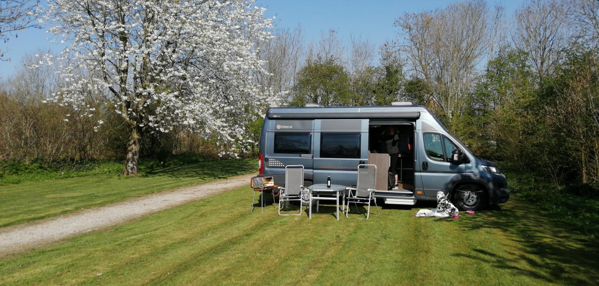 Bungalows en Camping Het Groene Hart — Photo 3