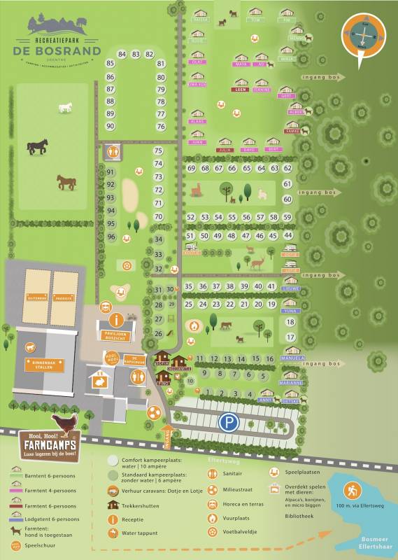 Recreatiepark de Bosrand Drenthe — Photo 3