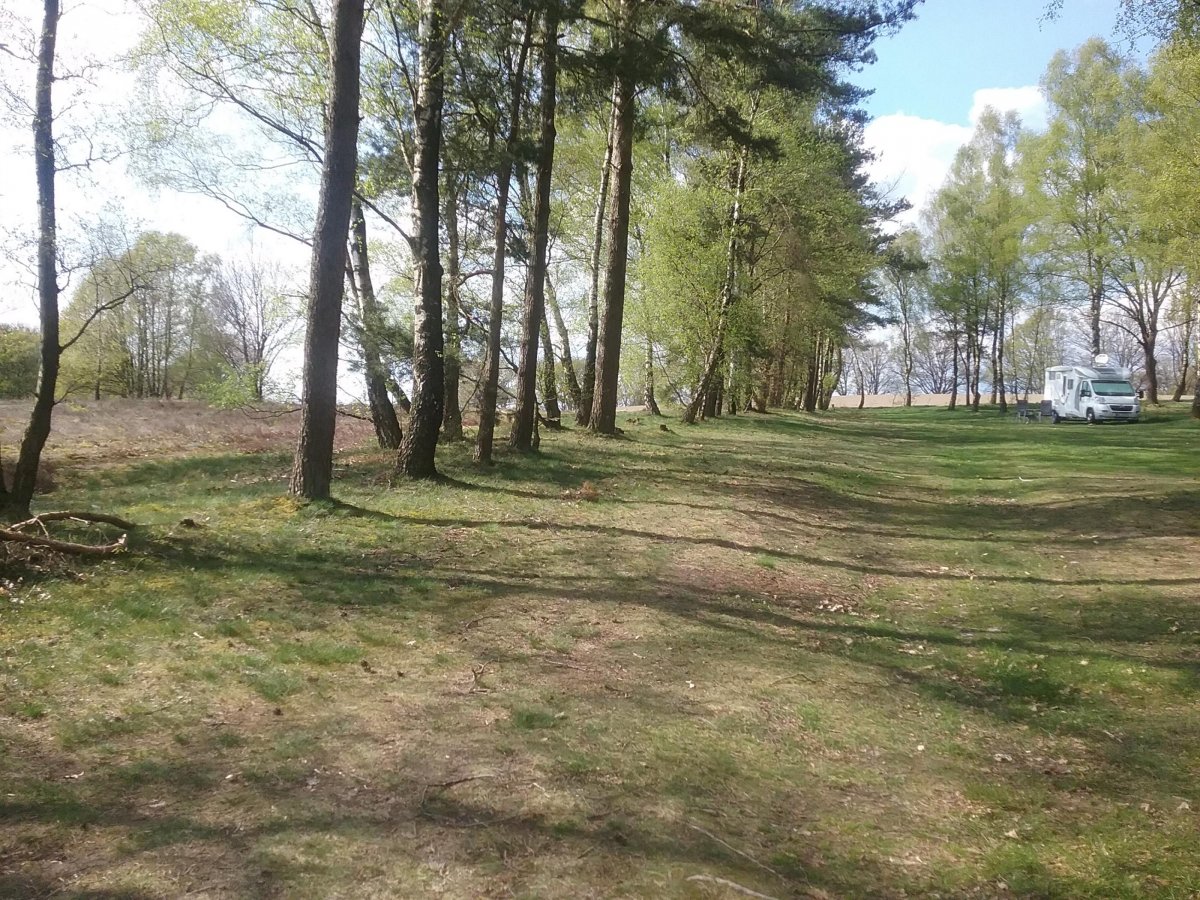 Stellplatz am Naturschutzpark Bispingen — Photo 6