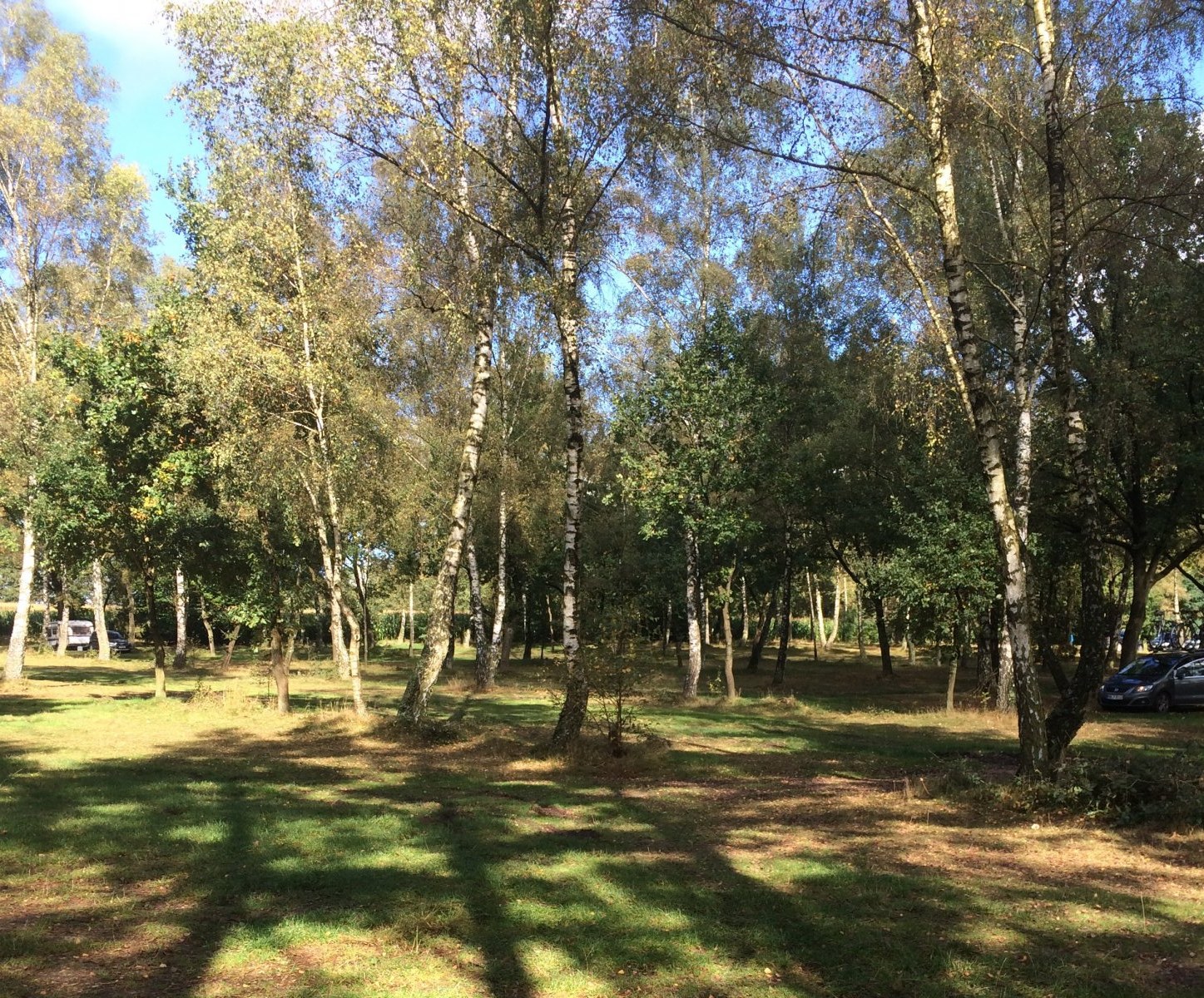 Stellplatz am Naturschutzpark Bispingen — Photo 2