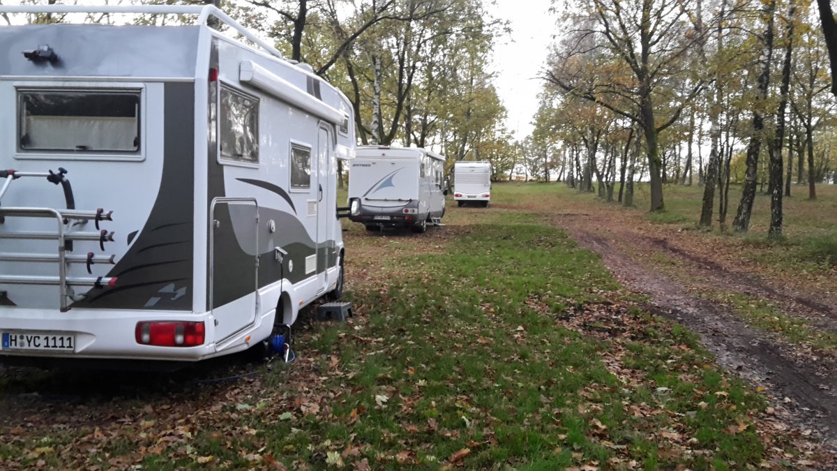 Stellplatz am Naturschutzpark Bispingen — Photo 3