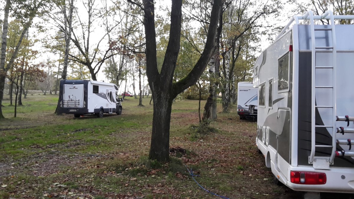 Stellplatz am Naturschutzpark Bispingen — Photo 4