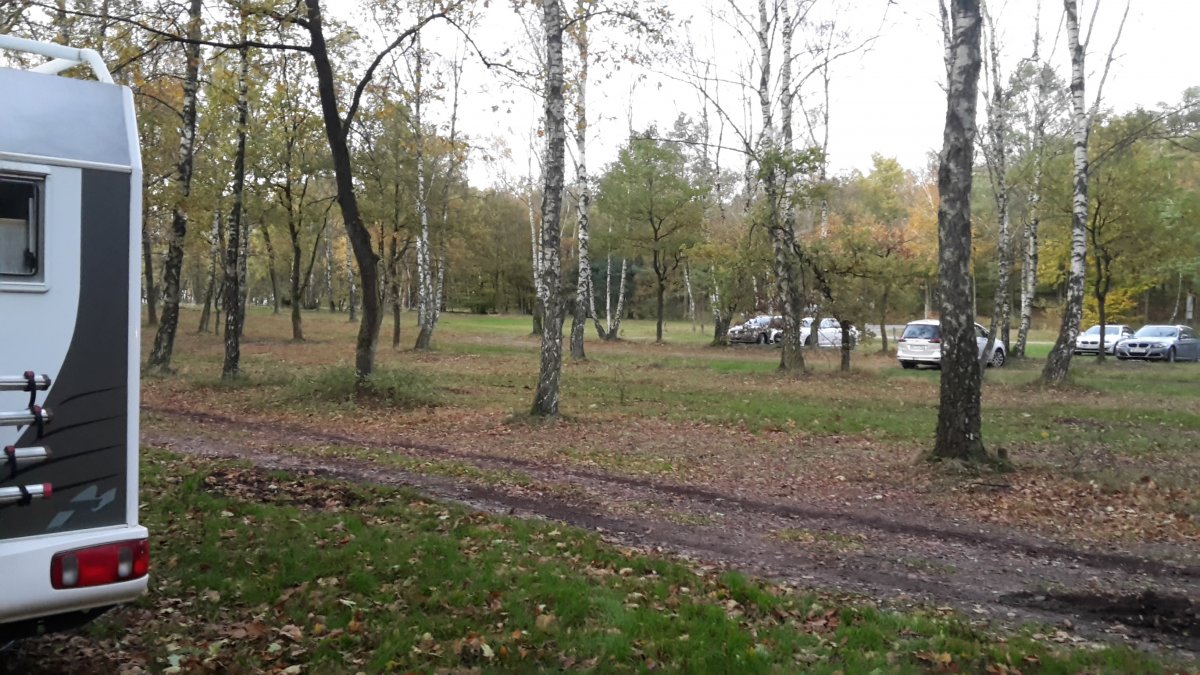 Stellplatz am Naturschutzpark Bispingen — Photo 5