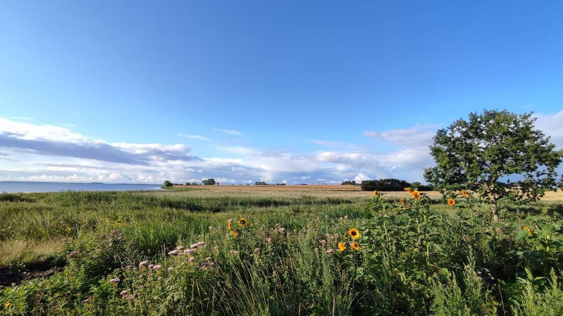 Kragenaes Marina Lystcamp — Photo 2