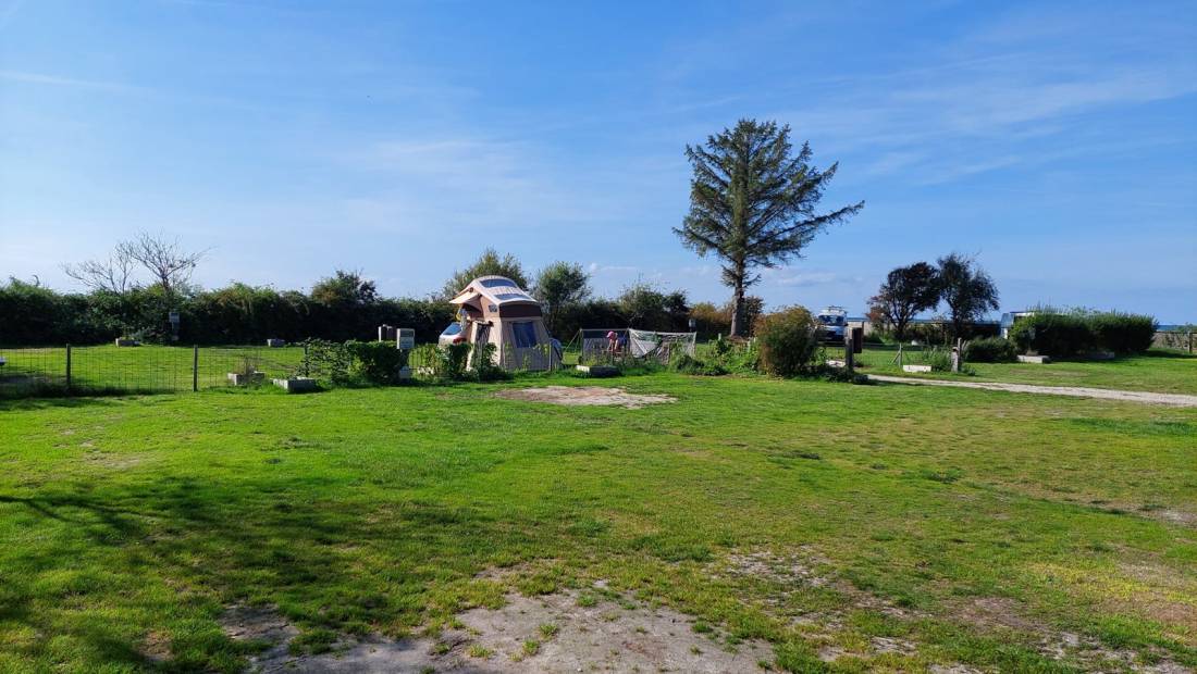 Søby Camping — Photo 3