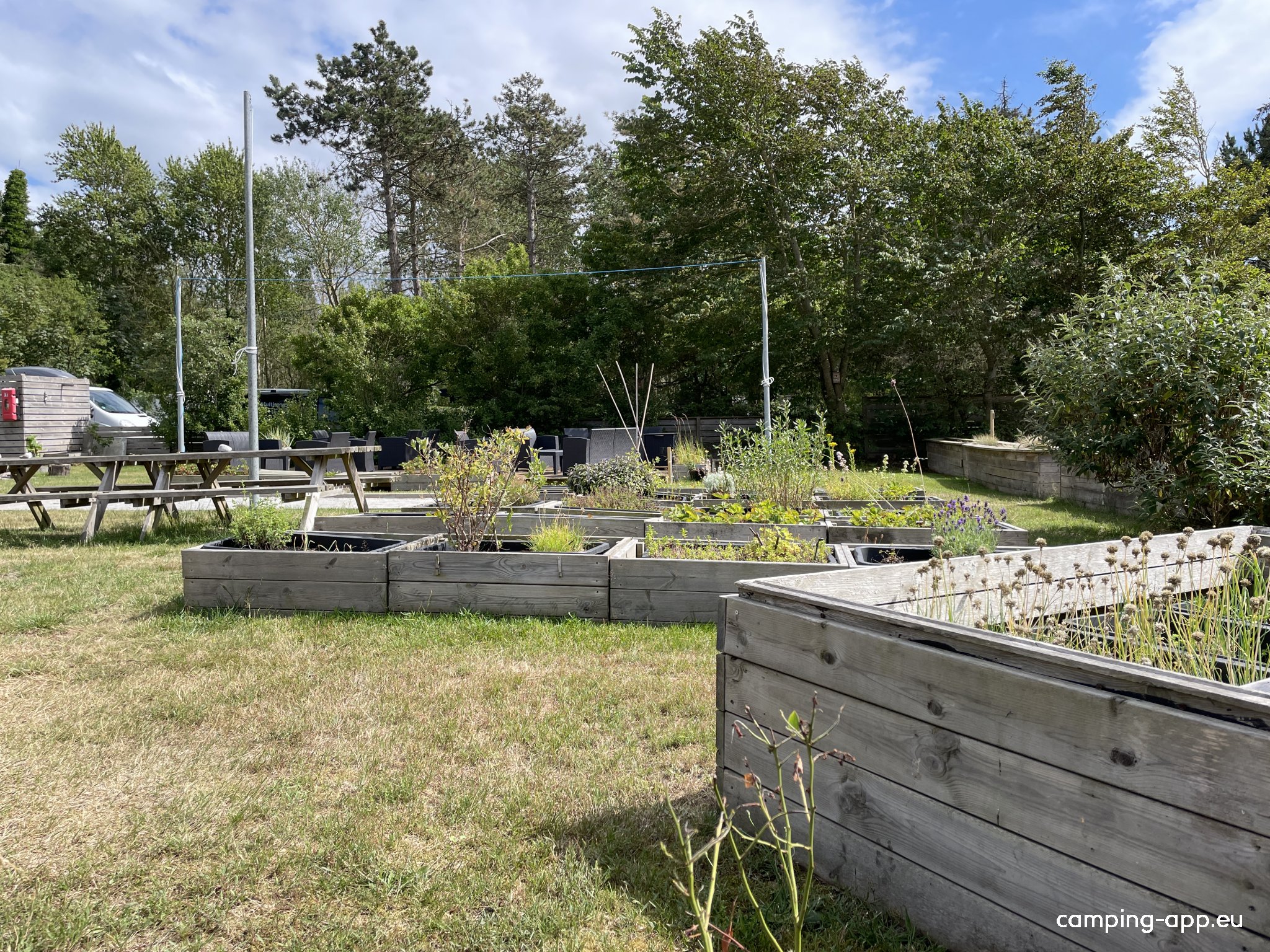 Søby Camping — Photo 6