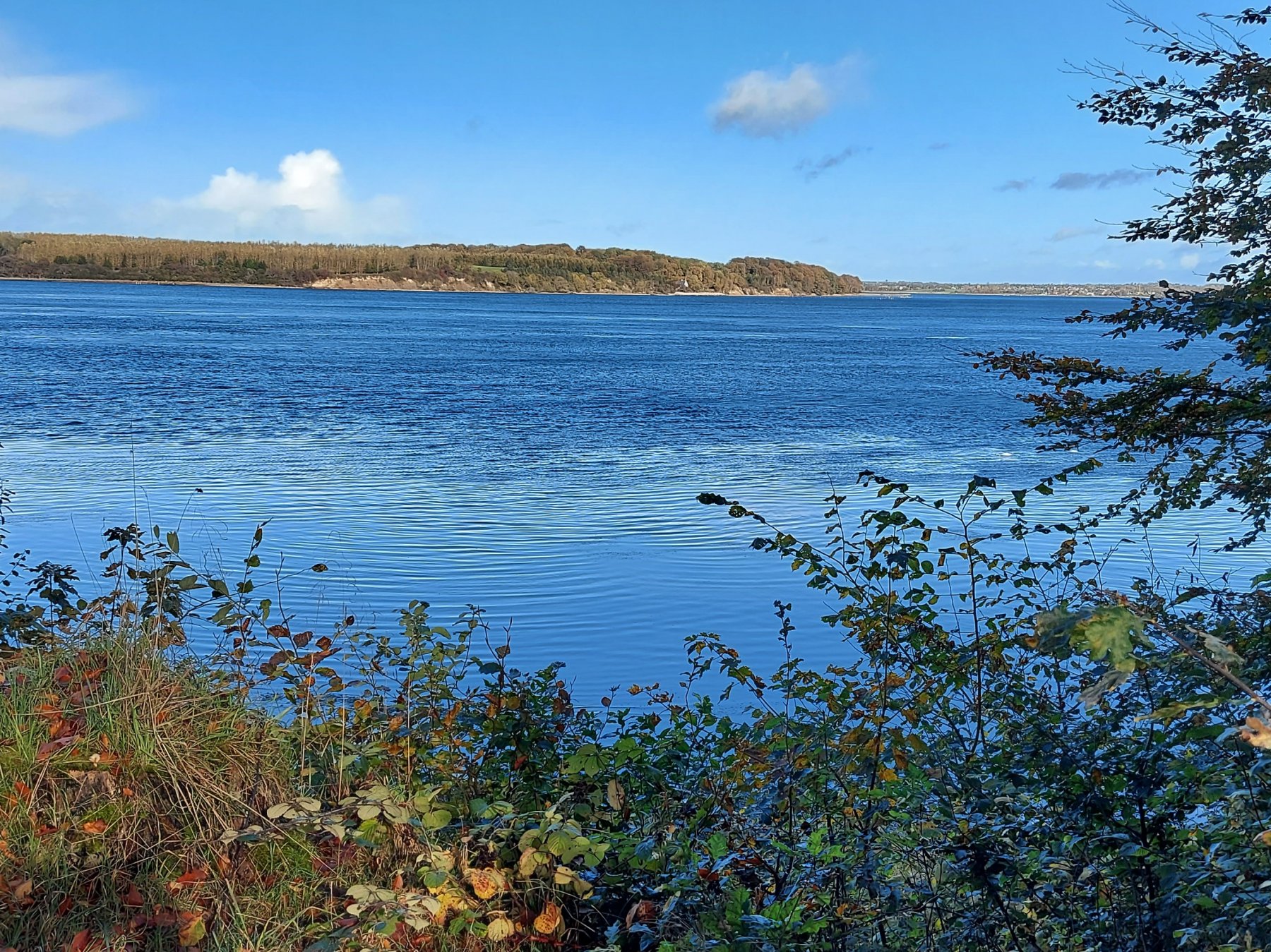 Gl. Ålbo Camping — Photo 5