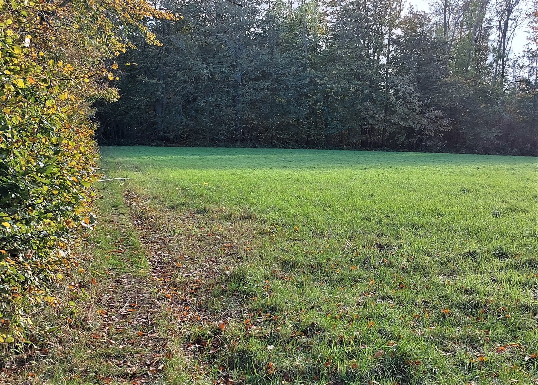 Gl. Ålbo Camping — Photo 6