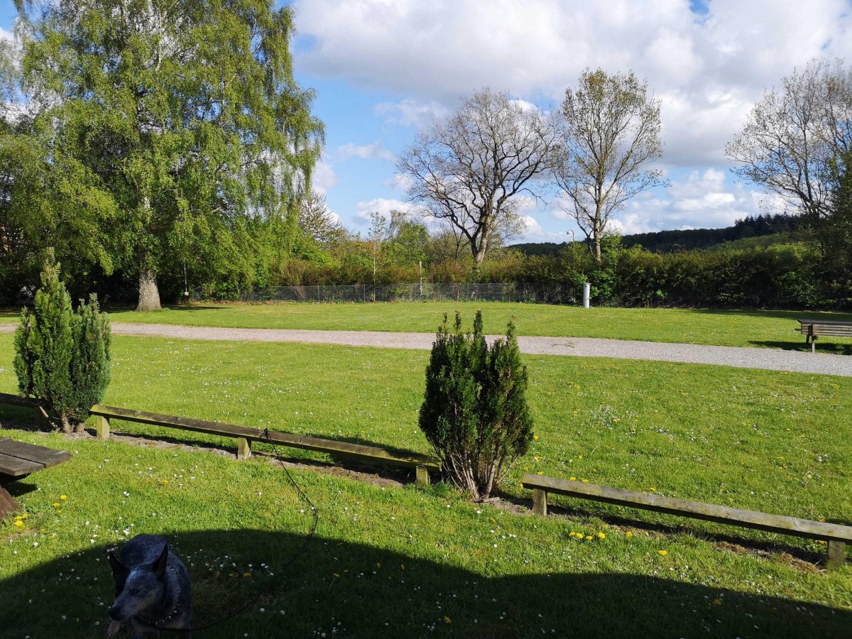 Aabenraa Citycamping — Photo 2