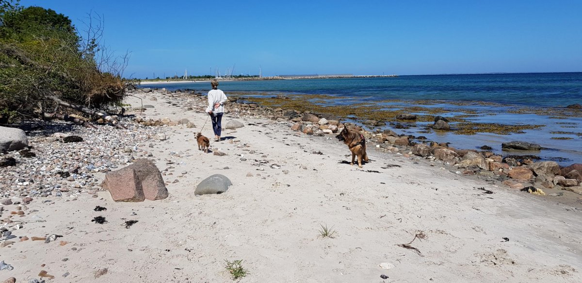 Lillebælt Camping — Photo 2