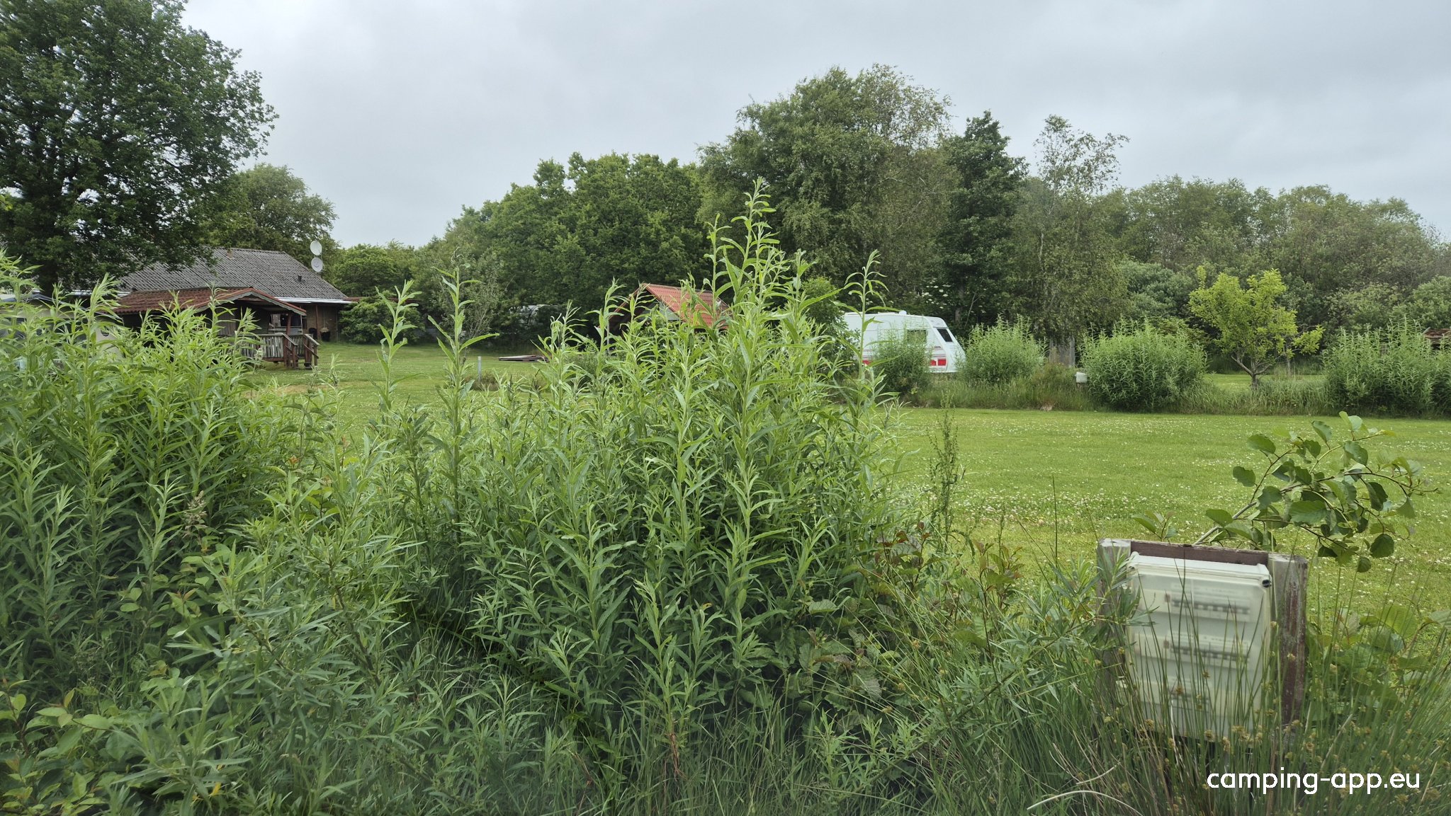 Skjern A Camping — Photo 4