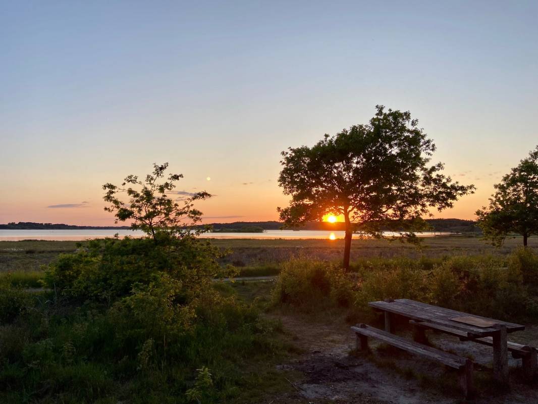 Bøllingsø Camping — Campsite in Engesvang