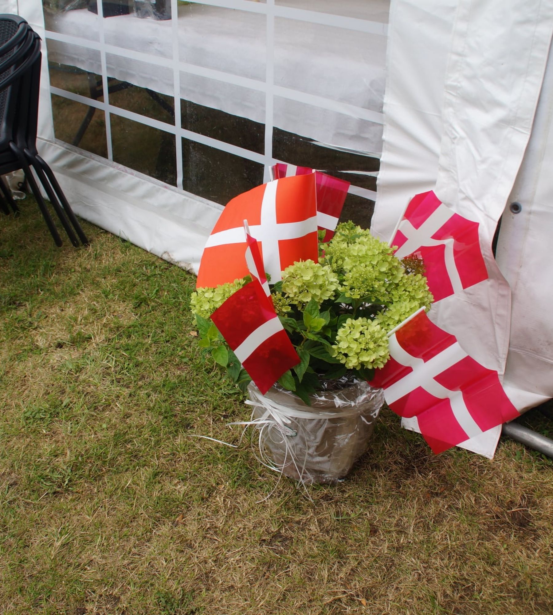 Virksund Camping — Photo 2