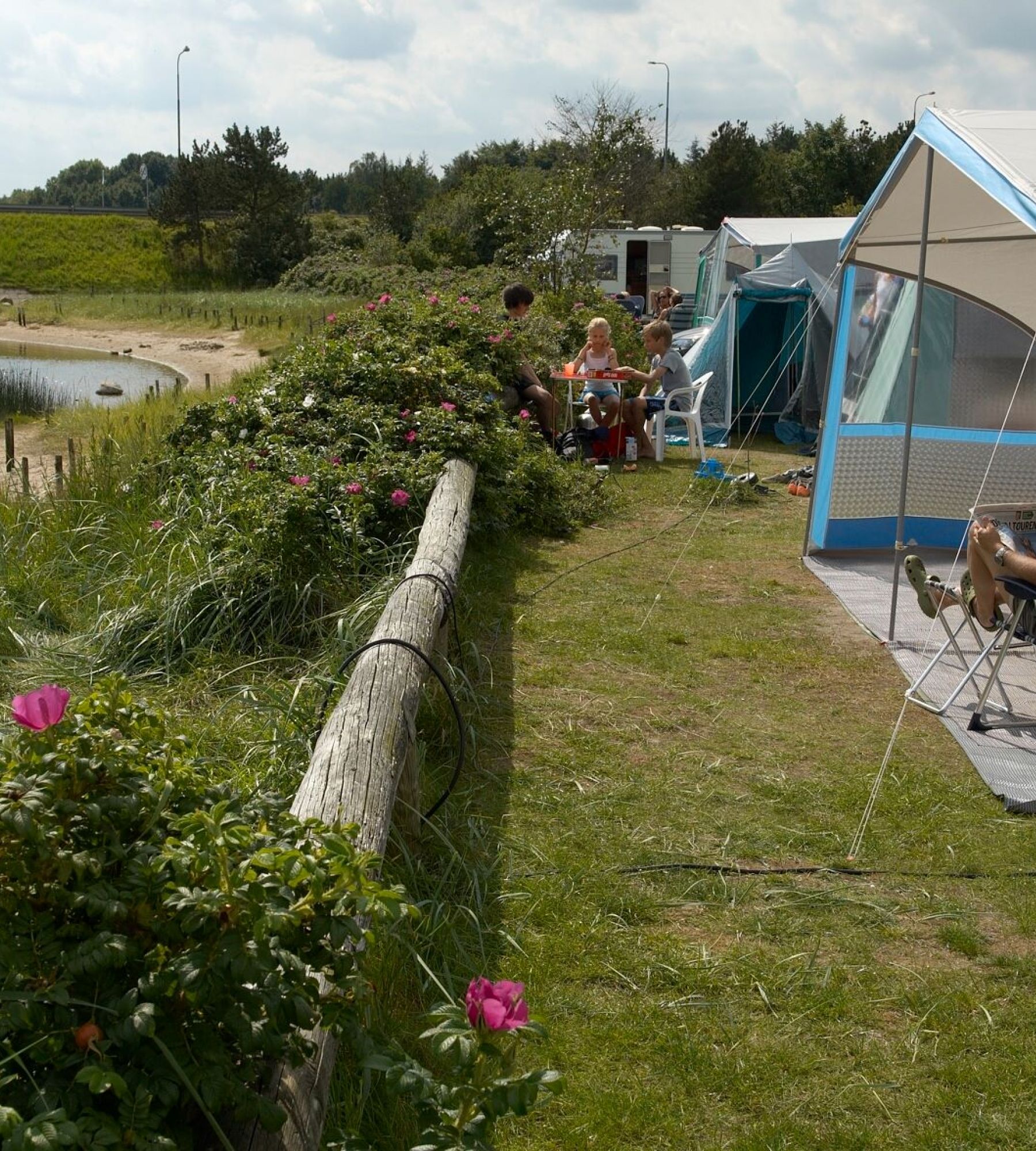 Virksund Camping — Photo 3