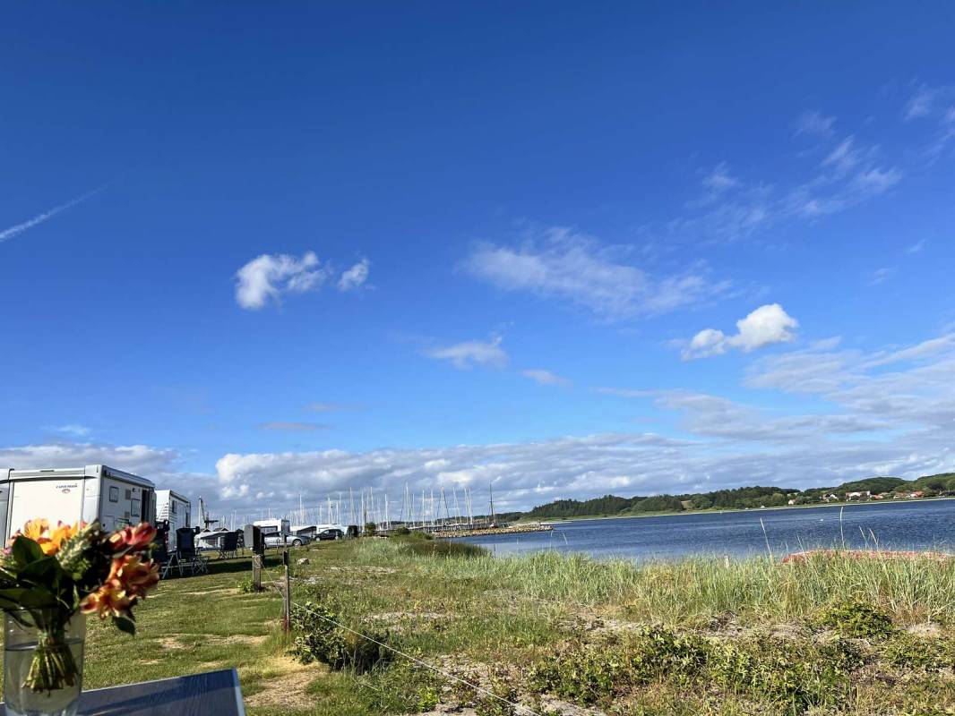 Virksund Camping — Photo 4