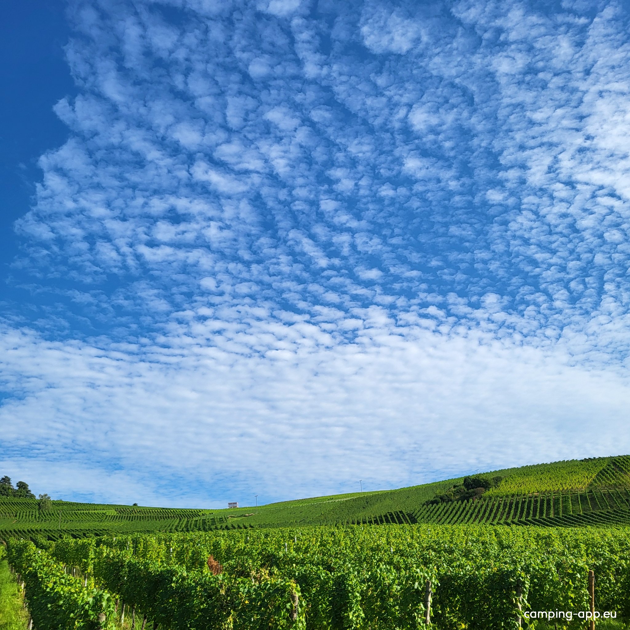 Wohnmobilstellplatz Ebringen — Photo 4