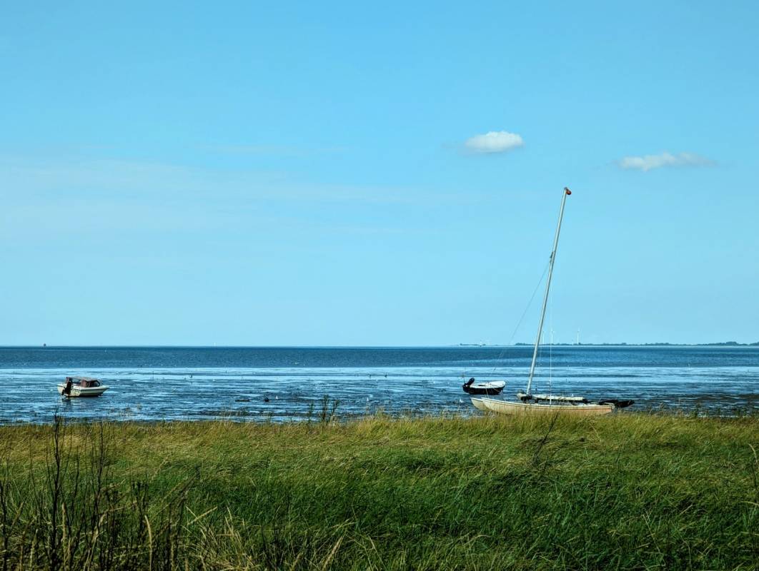 Strandcampingplatz Dangast — Photo 4