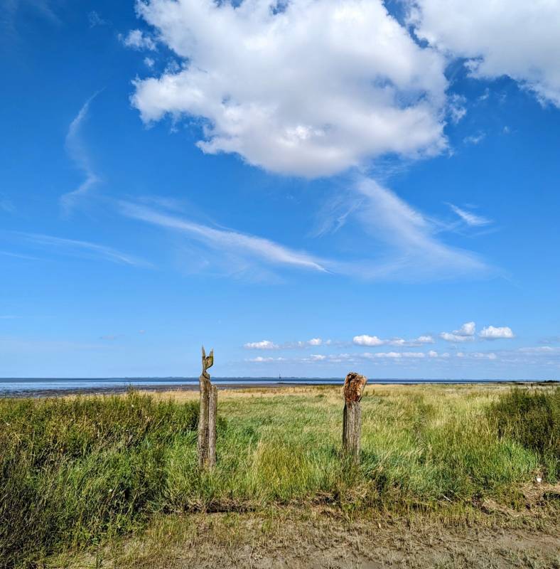 Strandcampingplatz Dangast — Photo 3