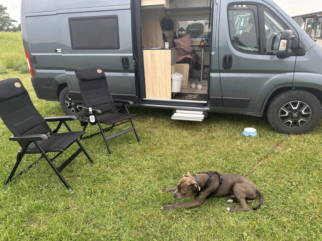 Stellplatz Strandcampingplatz Dangast — Photo 5