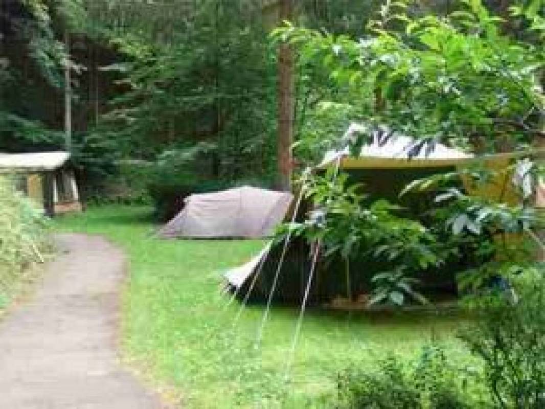 Zur Mühle — Photo 2