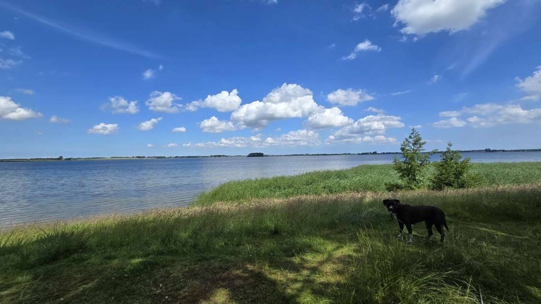 Naturcamping Stahlbrode — Photo 6