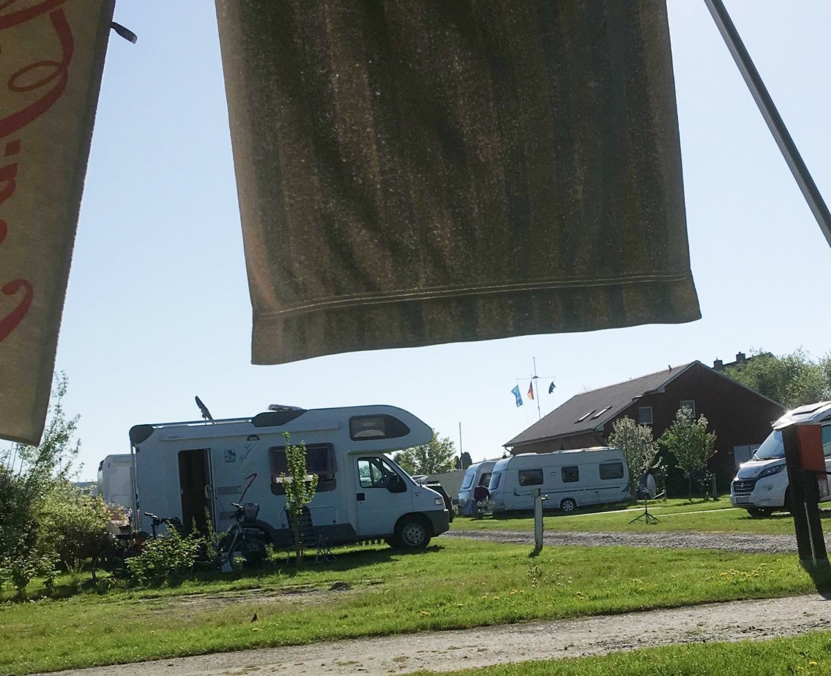 Campingplatz-Krautsand am Elbstrand