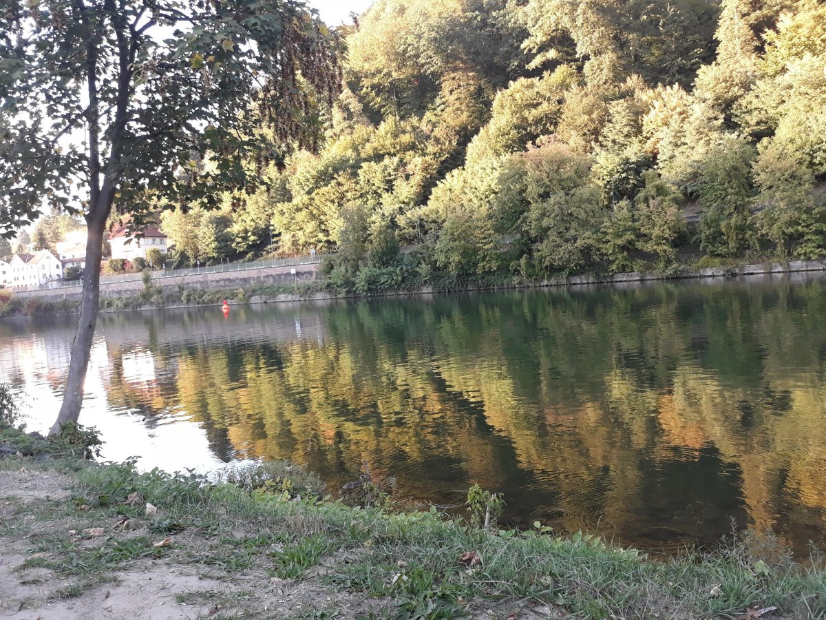 Camping Heidelberg — Photo 2